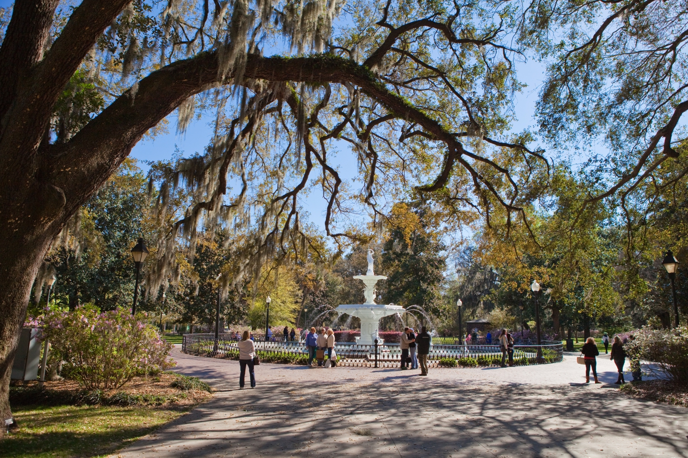 Coastal Highway Route 17 Savannah TravelSouth USA