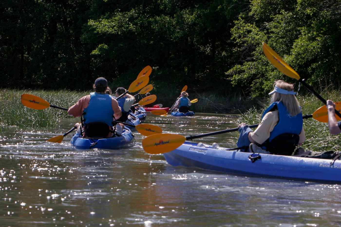 See the Sites of the Sea Shore Kiawah Island TravelSouth USA